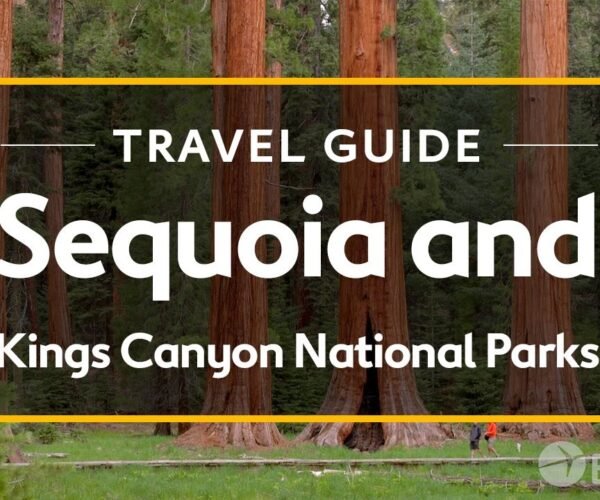 Sequoia and Kings Canyon National Parks Vacation Travel Guide I Expedia